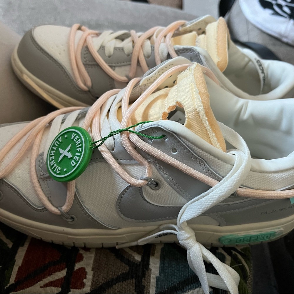 Nike off white dunks